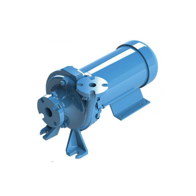 Weinman End-Suction Pump - D.L. Thurrott